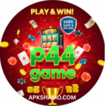 P44 Game