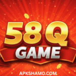 58 Q Game