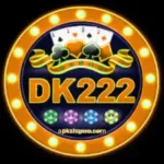 DK 222 Game