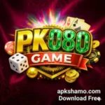 PK 080 Game