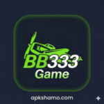 BB 333 Game