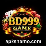 BD 999 Game